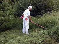 草刈り作業
