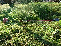 草刈り作業(10月25日)
