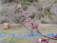 �썂�~�̂ڂ݁i1��27���j