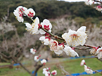 �썂�~���J�i2��24���j