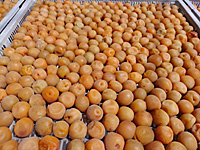 �~�������