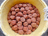 �썂�~�����i9��24�j