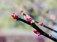 �A�b�v�ɂ����